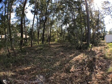 0 SW 169th Place unit G5006292, Ocala, FL 34473 - photo 4