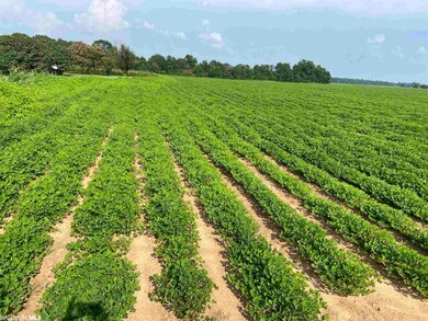 04 Alabama 21, Atmore, AL 36502 - photo 2