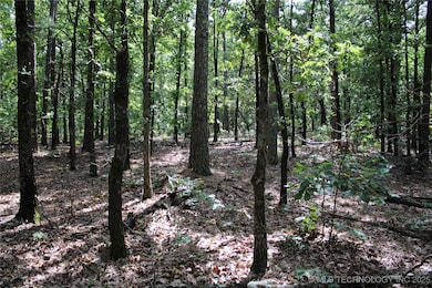 617 U S 59, Jay, OK 74346 - photo 2