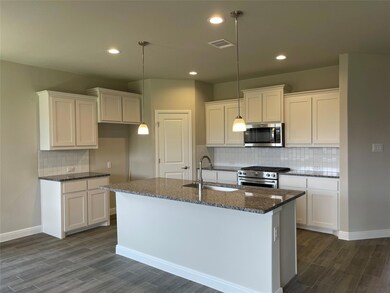 2373 Briscoe Ranch Dr, Hudson Oaks, TX 76087 - photo 2