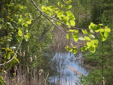 Pond