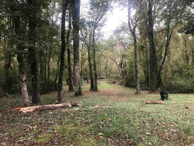 57 Cedar Glade, Pangburn, AR 72121 - photo 6