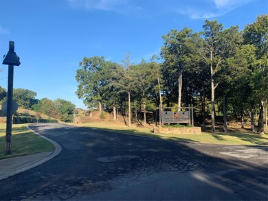 13C Dublin Cir, Gordonville, TX 76245 - photo 4