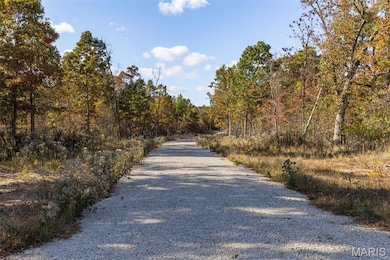 View of street with a view of trees