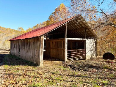 9997 Little Doe Creek Rd, Irvine, KY 40336 - photo 4