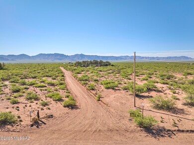 285 W Red Dog Rd, San Simon, AZ 85632 - photo 5