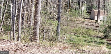 106 Meadowview Ln, Locust Grove, VA 22508 - photo 5