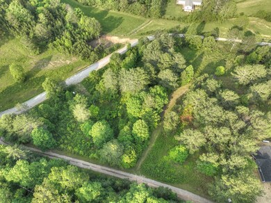 0 Murphy Hwy unit 402757, Mineral Bluff, GA 30559 - photo 4