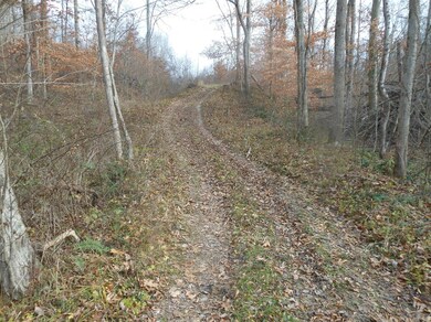 24070 Us Highway 52, Laurel, IN 47024 - photo 7