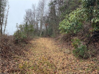 TBD Fall Creek Rd Fall Creek Rd, Purlear, NC 28665 - photo 2