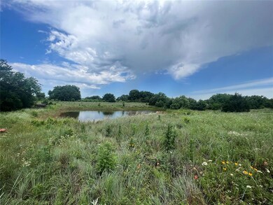 View of local wilderness featuring a water view