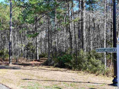 689 Ocean Lakes Loop unit Lot 133, Litchfield, SC 29585 - photo 6