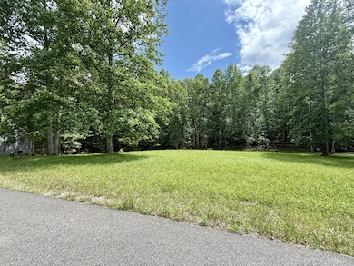 0 Shadow Rock Lot 17, Monteagle, TN 37356 - photo 4