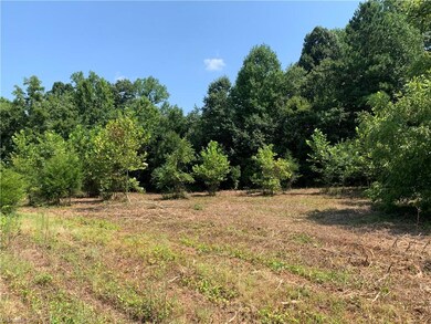 00 Old Mill Ford Trail, Asheboro, NC 27205 - photo 5