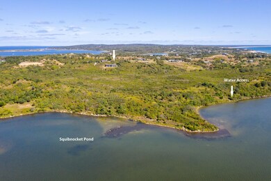 Waterfront on Squibnocket Pond