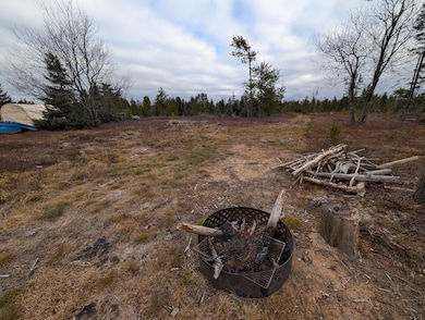 VL Slough Lake Rd, Forsyth Township, MI 49841 - photo 4