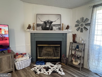 100 Lakeview Dr, Colbert, GA 30628 - photo 5