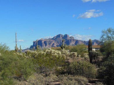 Superstition Mt. view