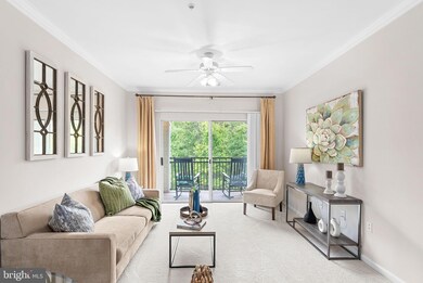 12953 Centre Park Cir unit 318, Herndon, VA 20171 - photo 6