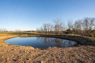 000-A Chadwick Rd, Chadwick, MO 65629 - photo 3