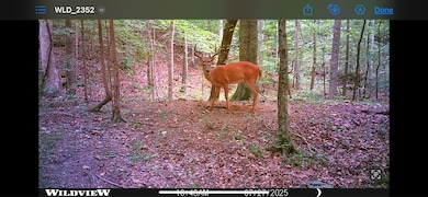 0 Treadwell Prong unit RTC2707562, Linden, TN 37096 - photo 6