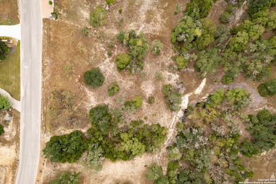 23911 Scenic Springs, San Antonio, TX 78255 - photo 4