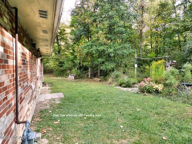 2 Outside, east side of house (shows bir