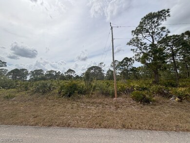 1262 Barnet Ave, Lehigh Acres, FL 33913 - photo 4