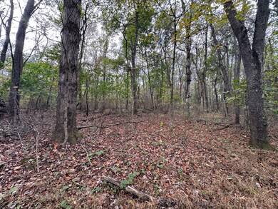 0 Sandy Plains Rd, East Bethlehem Township, PA 15322 - photo 6