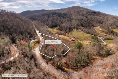 00 Terrys Gap Rd, Fletcher, NC 28732 - photo 5