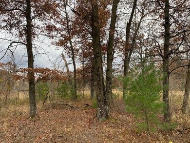 40 Acres Dragonfly Rd, Tomah, WI 54660 - photo 4