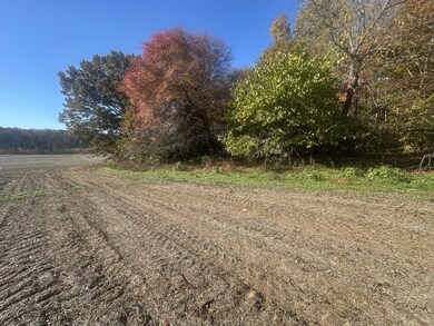 0 Petty Rd, Sparta, TN 38583 - photo 6