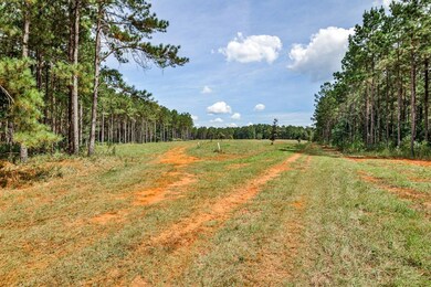 0 Old Zebulon Rd unit 25091896, Forsyth, GA 31029 - photo 5