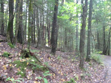 23 Wetherbee Rd, Lyman, NH 03585 - photo 3