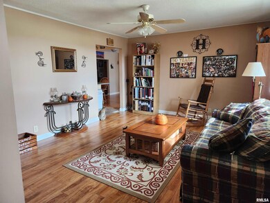 15766 E Tilton Rd, Ina, IL 62846 - photo 5