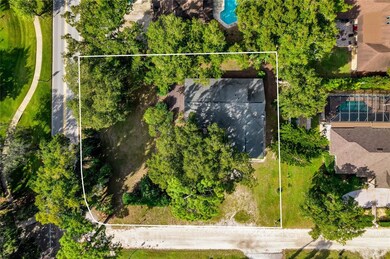 103 E 4th Ave, Windermere, FL 34786 - photo 3