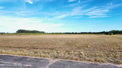 2481 Sesban Ave SW, Palm Bay, FL 32908 - photo 3