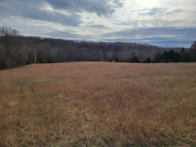 0 Minnow Branch Rd, Buffalo Township, MO 65078 - photo 3