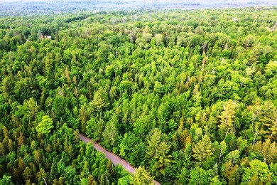 DJI_0330