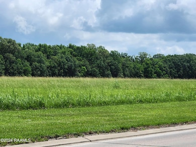 700 Blk W Summers Hwy 14 Dr, Abbeville, LA 70510 - photo 4