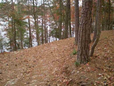 Lot 92 Peninsula Pointe S, West Union, SC 29696 - photo 2