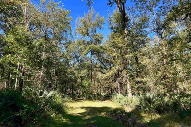 02 Manchac Rd, Saint Gabriel, LA 70776 - photo 7