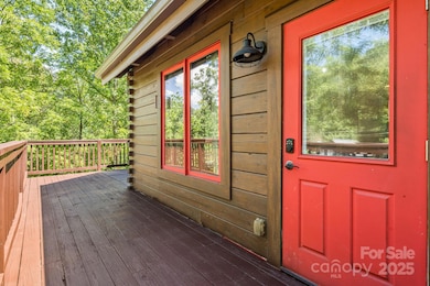 6018 Meadow Fork Rd, Hot Springs, NC 28743 - photo 4