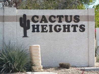 CACTUS HEIGHTS