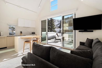 211 W Main St unit 201, Aspen, CO 81611 - photo 5