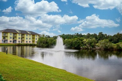 316 Kiskadee Loop unit 9 E  Kiskadee Parke, Conway, SC 29526 - photo 5