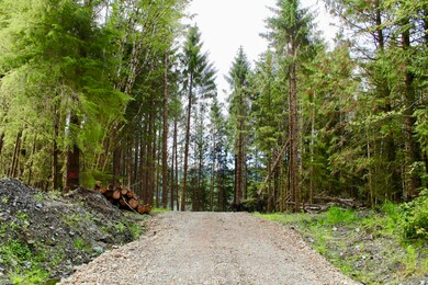 4 Chilkat Rd, Remote, AK 99921 - photo 3