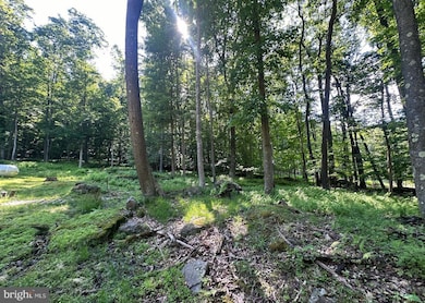 98 Bear Run Rd, Oakland, MD 21550 - photo 5