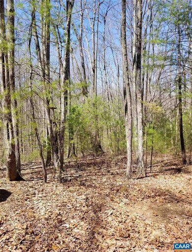 0 High Rd unit 615449, Stanardsville, VA 22973 - photo 3