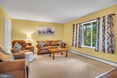 703 Old Limekiln Ln, Newport, PA 17074 - photo 2